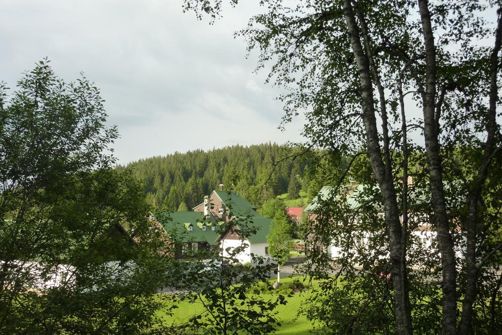 Penzion U Pstruha Modrava Exterior foto